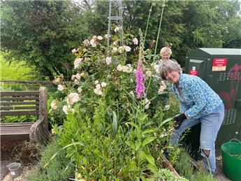 Thank You Ladies - Shirnall Hill Garden