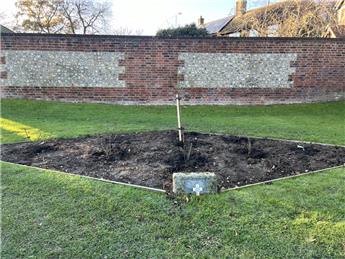 New Roses Planted -  WW2 Memorial Rose Garden